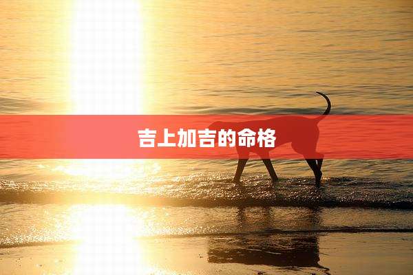 吉上加吉的命格