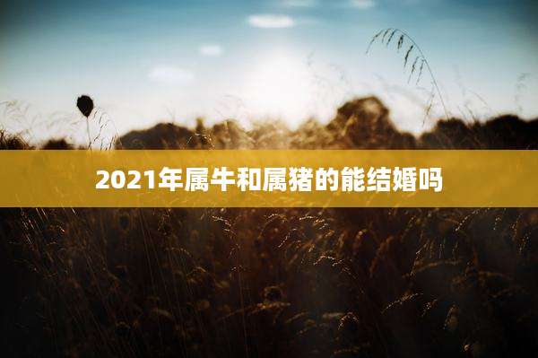 2021年属牛和属猪的能结婚吗