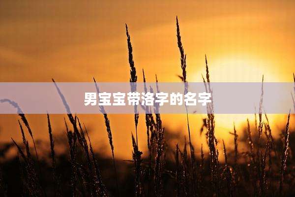 男宝宝带洛字的名字