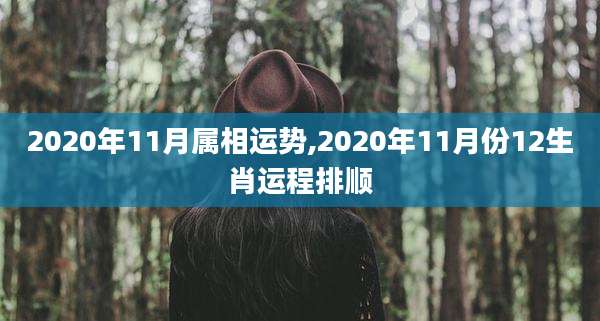 2020年11月属相运势,2020年11月份12生肖运程排顺