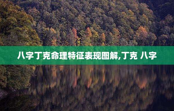 八字丁克命理特征表现图解,丁克 八字