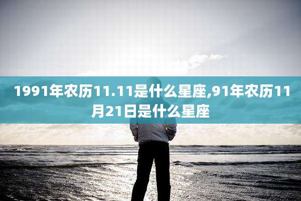 1991年农历11.11是什么星座,91年农历11月21日是什么星座