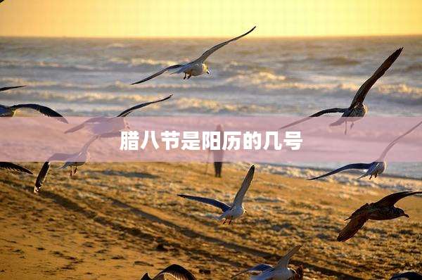 腊八节是阳历的几号