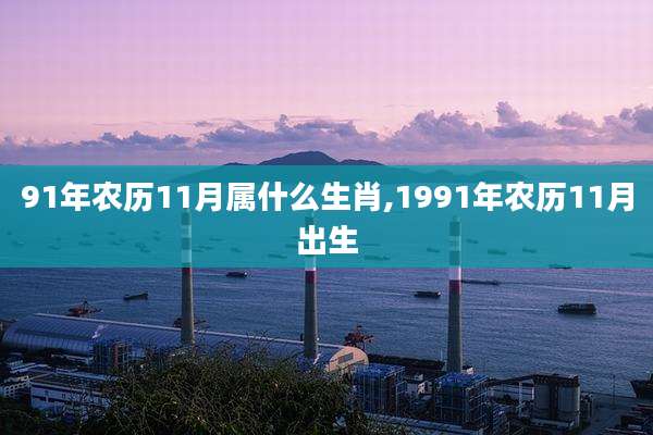 91年农历11月属什么生肖,1991年农历11月出生