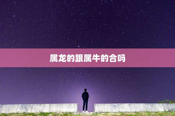 属龙的跟属牛的合吗