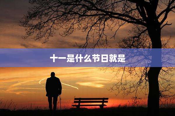 十一是什么节日就是