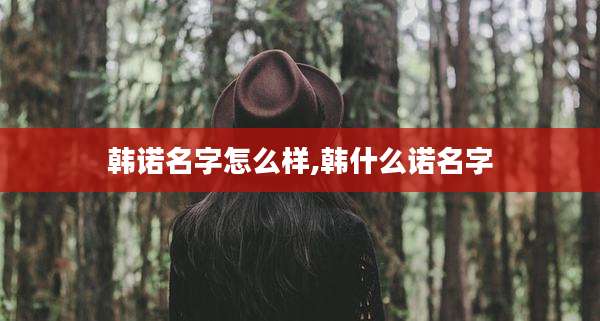 韩诺名字怎么样,韩什么诺名字