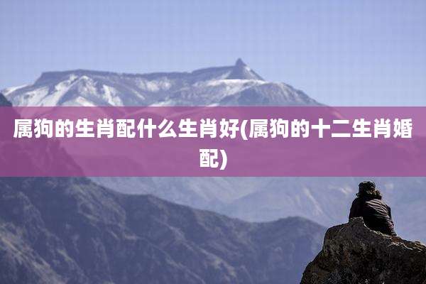 属狗的生肖配什么生肖好(属狗的十二生肖婚配)