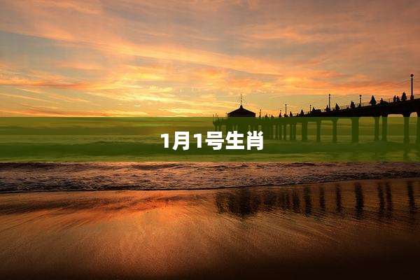 1月1号生肖