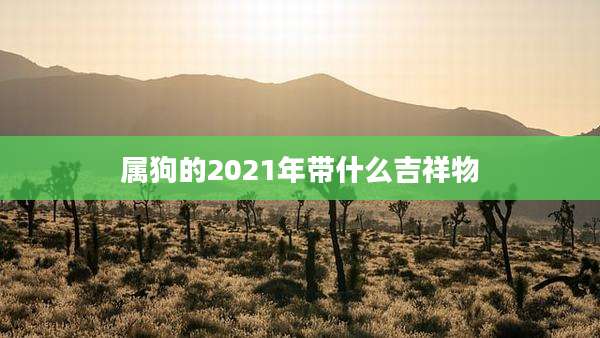 属狗的2021年带什么吉祥物