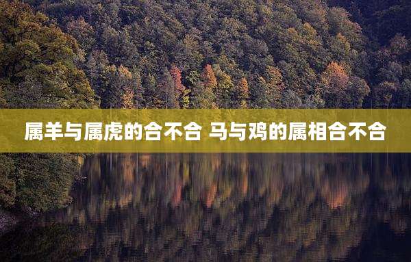 属羊与属虎的合不合 马与鸡的属相合不合