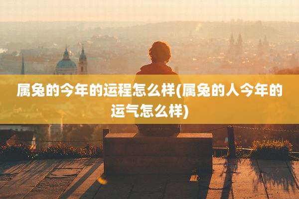 属兔的今年的运程怎么样(属兔的人今年的运气怎么样)