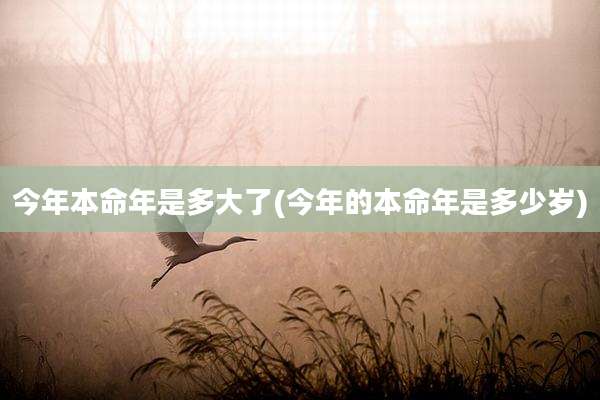 今年本命年是多大了(今年的本命年是多少岁)