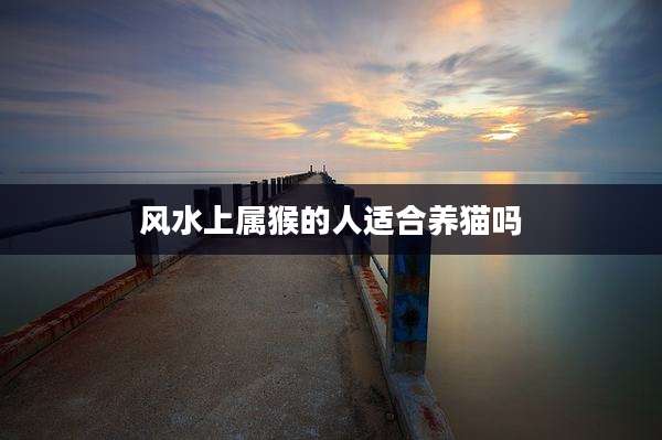 风水上属猴的人适合养猫吗
