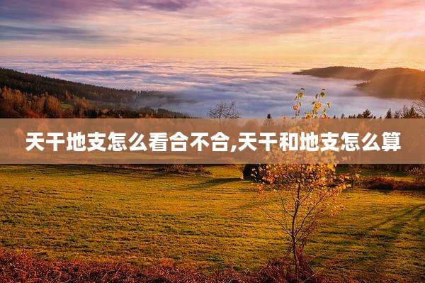 天干地支怎么看合不合,天干和地支怎么算