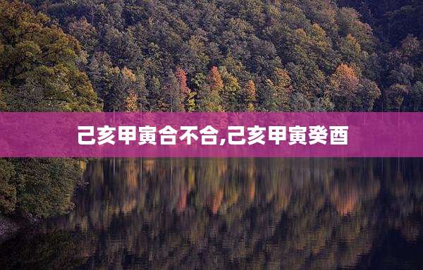 己亥甲寅合不合,己亥甲寅癸酉