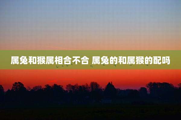 属兔和猴属相合不合 属兔的和属猴的配吗
