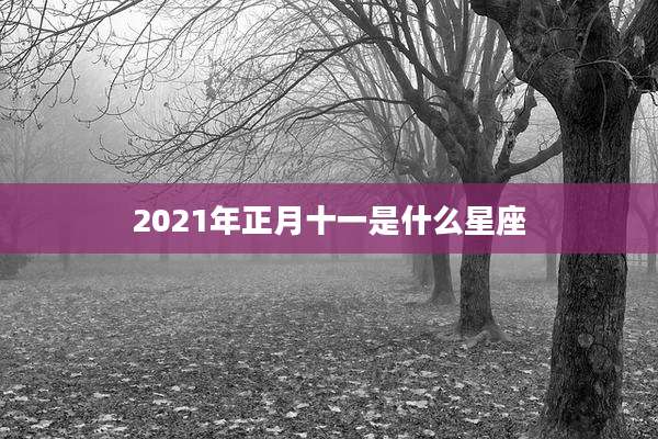 2021年正月十一是什么星座