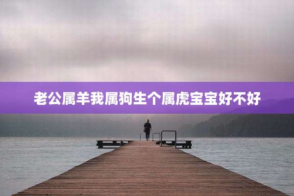老公属羊我属狗生个属虎宝宝好不好