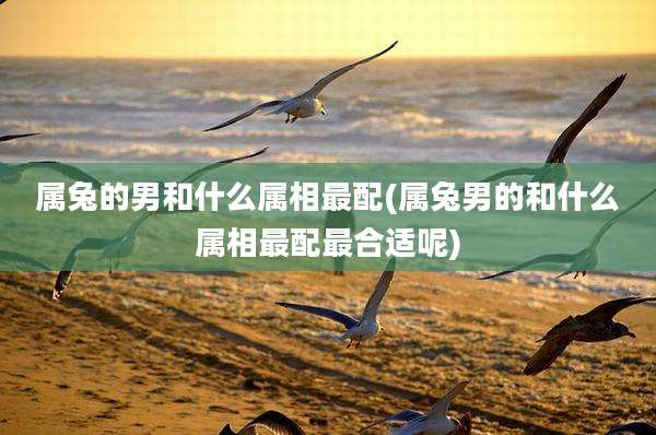 属兔的男和什么属相最配(属兔男的和什么属相最配最合适呢)