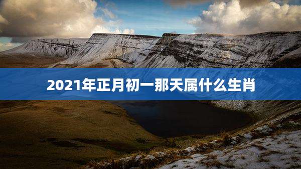 2021年正月初一那天属什么生肖