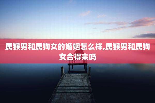 属猴男和属狗女的婚姻怎么样,属猴男和属狗女合得来吗