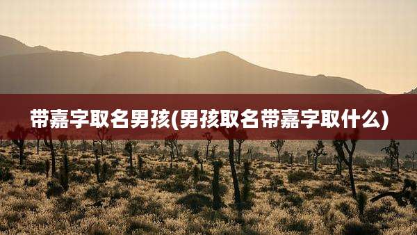 带嘉字取名男孩(男孩取名带嘉字取什么)