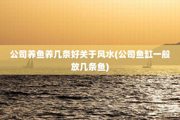 公司养鱼养几条好关于风水(公司鱼缸一般放几条鱼)