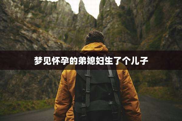 梦见怀孕的弟媳妇生了个儿子