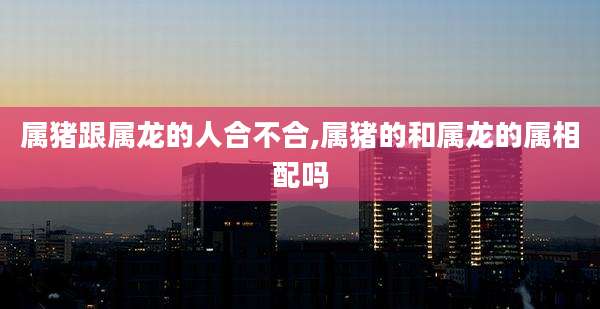 属猪跟属龙的人合不合,属猪的和属龙的属相配吗