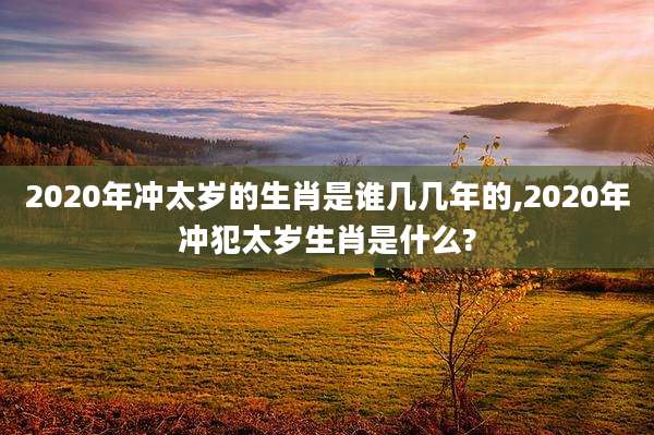 2020年冲太岁的生肖是谁几几年的,2020年冲犯太岁生肖是什么?