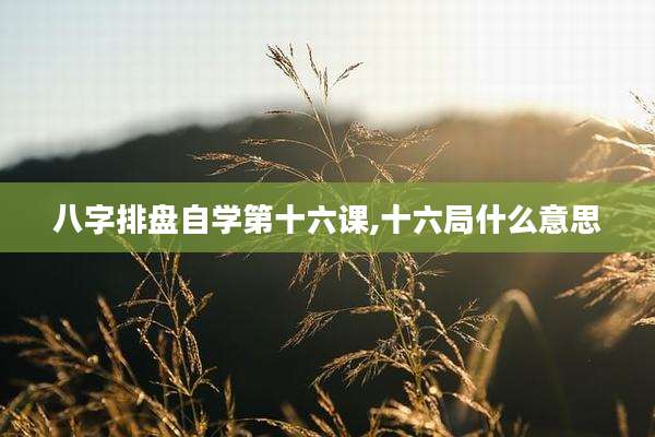 八字排盘自学第十六课,十六局什么意思