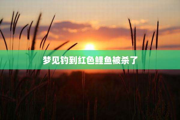 梦见钓到红色鲤鱼被杀了