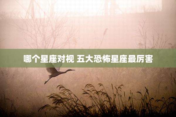 哪个星座对视 五大恐怖星座最厉害
