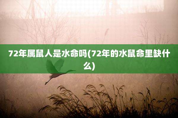 72年属鼠人是水命吗(72年的水鼠命里缺什么)