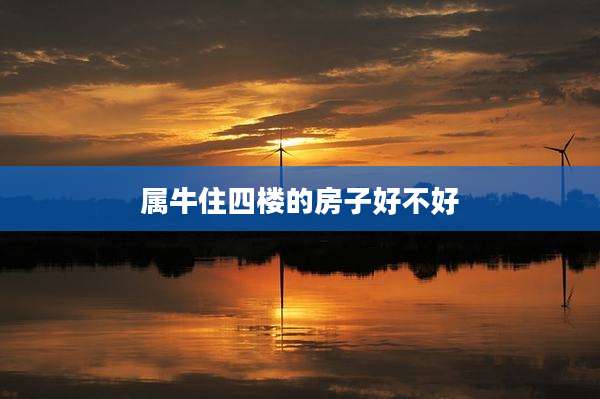 属牛住四楼的房子好不好