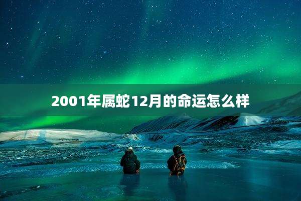 2001年属蛇12月的命运怎么样