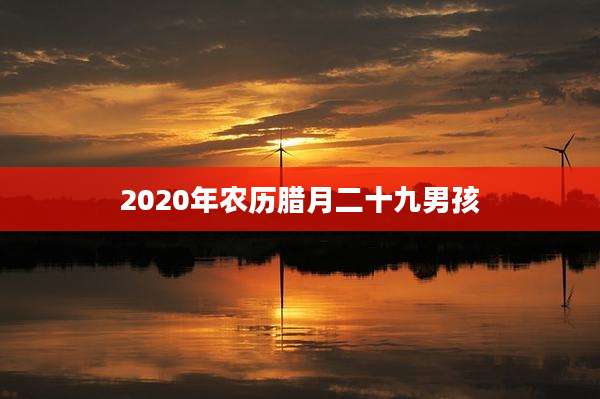 2020年农历腊月二十九男孩