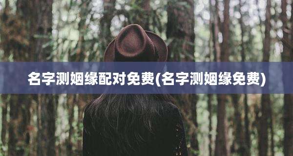 名字测姻缘配对免费(名字测姻缘免费)