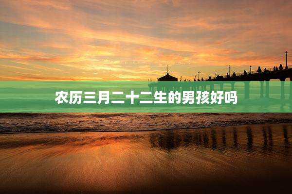 农历三月二十二生的男孩好吗
