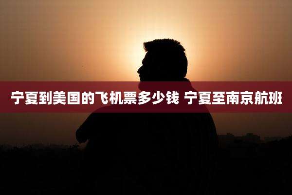 宁夏到美国的飞机票多少钱 宁夏至南京航班