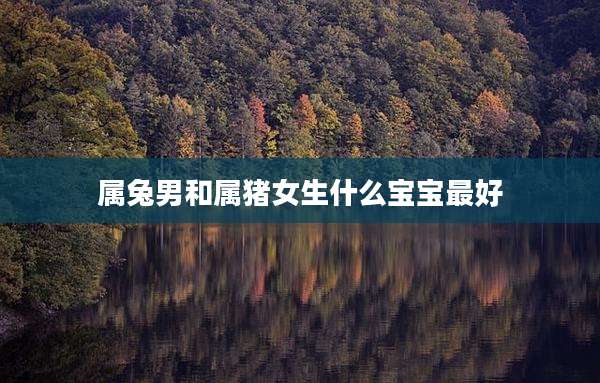 属兔男和属猪女生什么宝宝最好