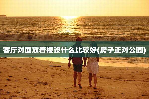 客厅对面放着摆设什么比较好(房子正对公园)