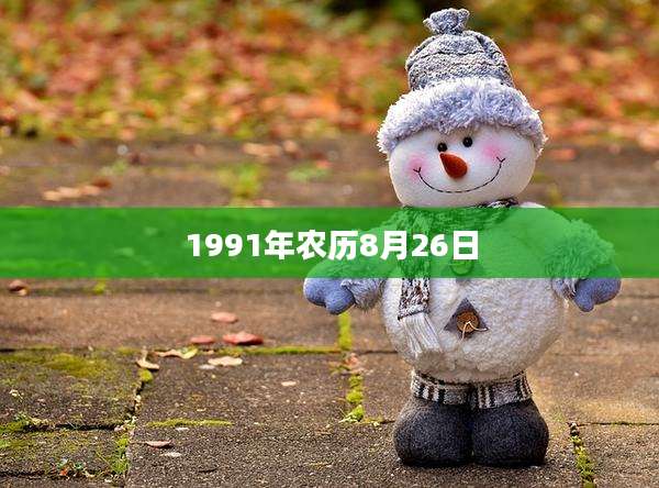 1991年农历8月26日