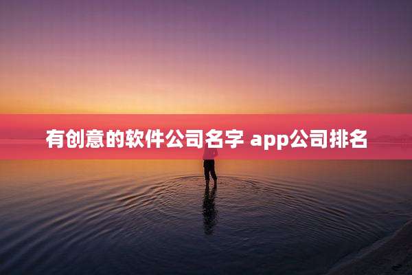 有创意的软件公司名字 app公司排名