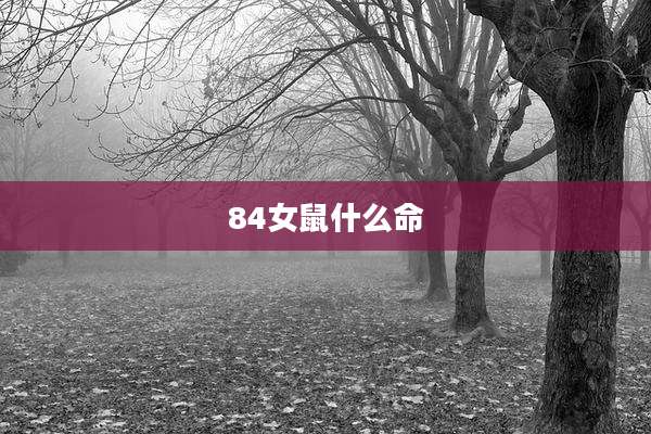 84女鼠什么命