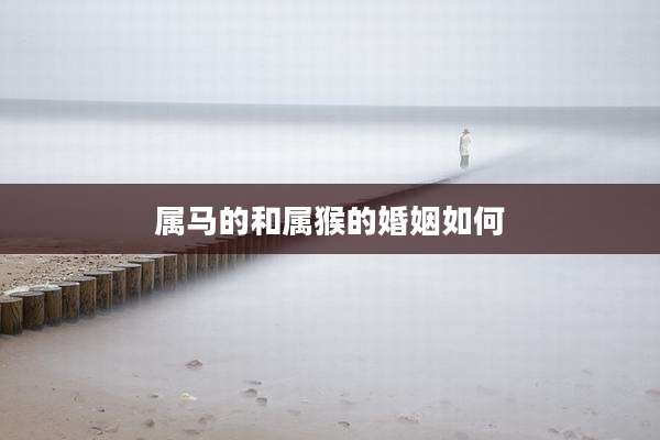 属马的和属猴的婚姻如何