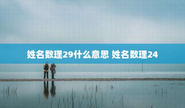 姓名数理29什么意思 姓名数理24