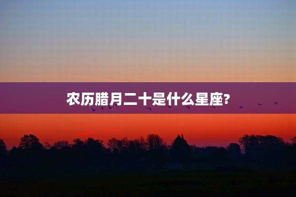 农历腊月二十是什么星座?