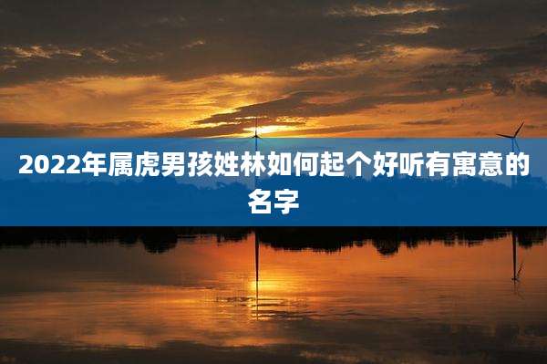 2022年属虎男孩姓林如何起个好听有寓意的名字